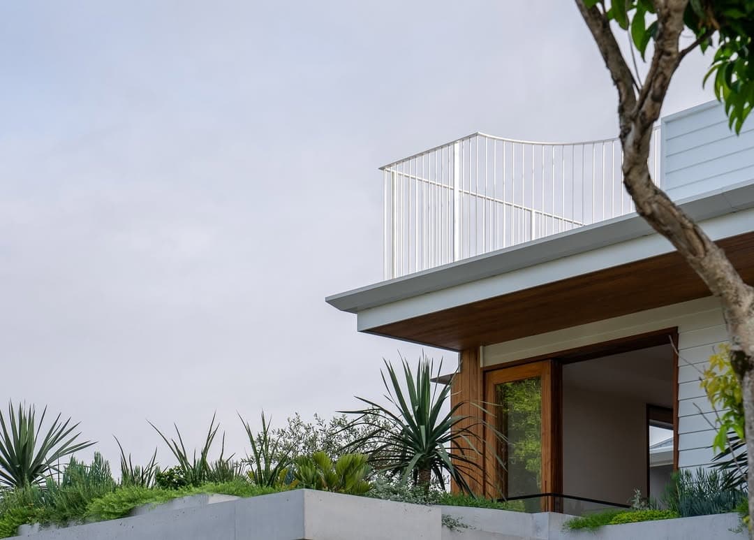 White rendered Brisbane architectural home, timber and yucca.
